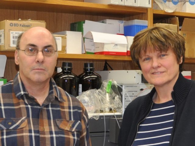 Egy a kiváló kutatótársak közül. Drew Weissman és Karikó Katalin. 2005-ös közös felfedezésük Karikó-Weissman technológia.